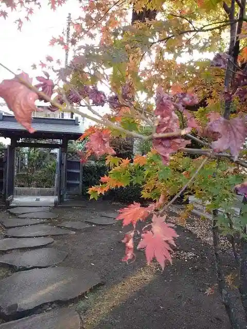 金蔵院の山門・神門