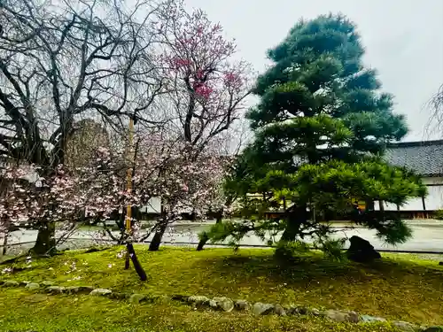 富山縣護國神社(富山県)