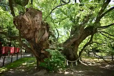 浜松八幡宮(静岡県)
