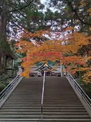 大神神社(奈良県)