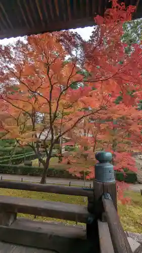 真正極楽寺（真如堂）(京都府)