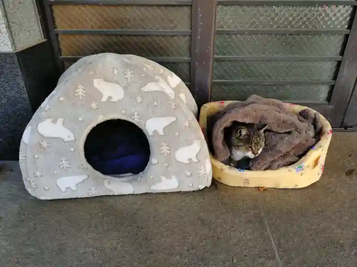 白金氷川神社の{uncategorized: "未分類", other: "その他", undefined: "問題あり", building: "その他建物", grave: "お墓", sacred_gate: "鳥居", guardian: "狛犬", statue: "像", buddha: "仏像", history: "歴史", nature: "自然", garden: "庭園", animal: "動物", pagoda: "塔", temizu: "手水舎", mountain_gate: "山門・神門", sanctuary: "本殿・本堂", subordinate: "末社・摂社", art: "芸術", scenery: "景色", jizo: "地蔵", ema: "絵馬", goshuin: "御朱印", omikuji: "おみくじ", items: "授与品その他", amulet: "お守り", goshuincho: "御朱印帳", eats: "食事", festival: "お祭り", votive_dance: "神楽", shichigosan: "七五三参", wedding: "結婚式", experience: "体験その他", initially: "初詣", around: "周辺", anti_infection: "感染症対策"}