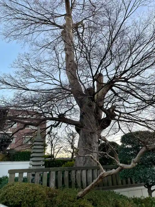 延命寺(埼玉県)
