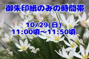 くまくま神社(導きの社 熊野町熊野神社)(東京都) 2023年10月29日(日)〜(2023年10月28日(土) 20時01分53秒投稿)
