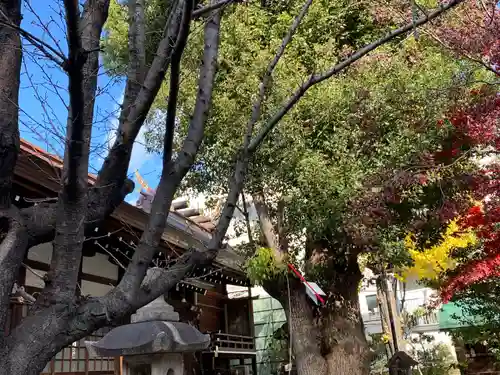 三輪神社の庭園