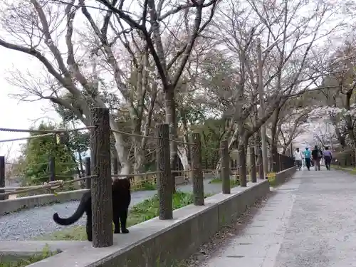 熊野若王子神社(京都府)
