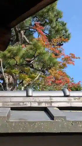 徳雲院(京都府)