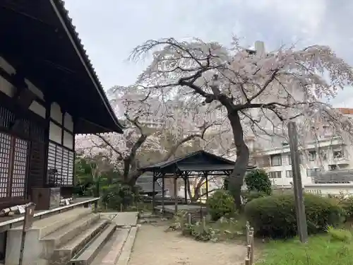 善福寺(兵庫県)