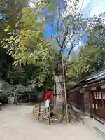 葛城一言主神社(奈良県)