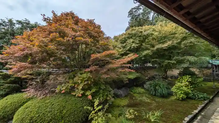 興臨院(京都府)