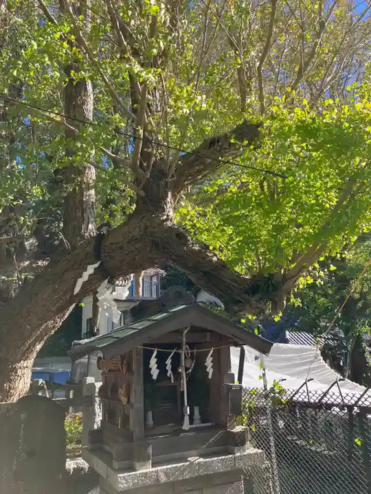 海南神社(神奈川県)