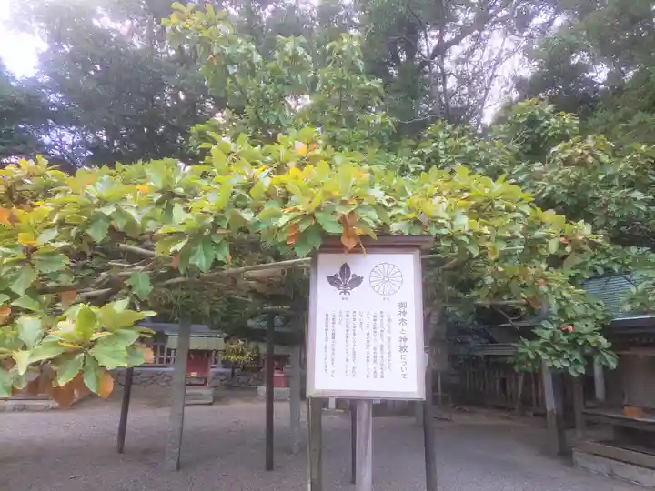 宗像大社の自然