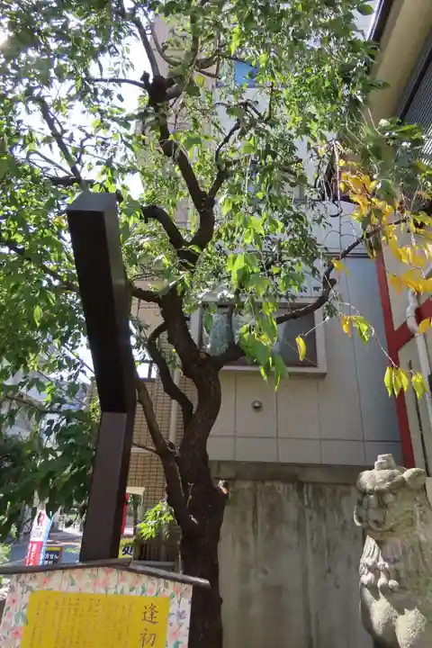 吉原神社のその他建物