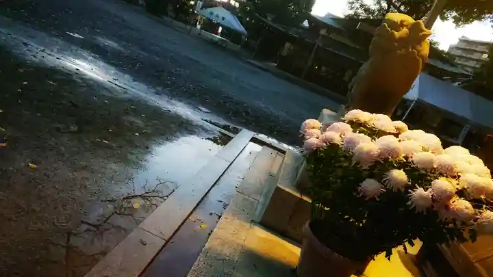 尾張大國霊神社(国府宮)の狛犬