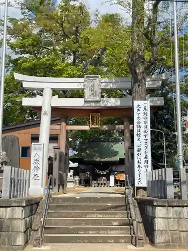 守谷総鎮守 八坂神社の鳥居