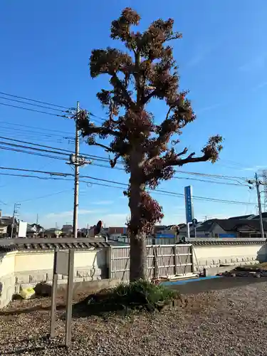 常円寺(千葉県)