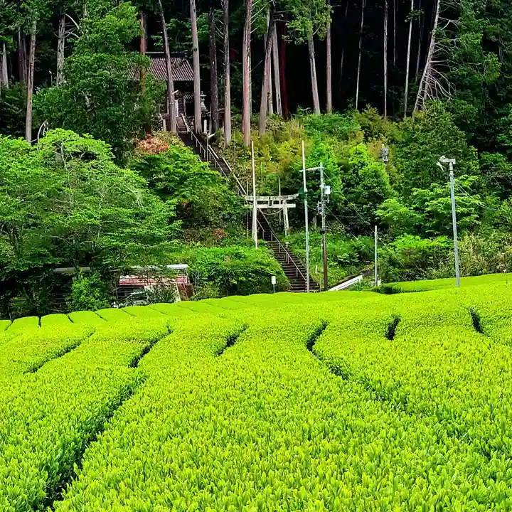 六所神社の鳥居
