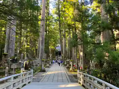 高野山金剛峯寺奥の院(和歌山県)