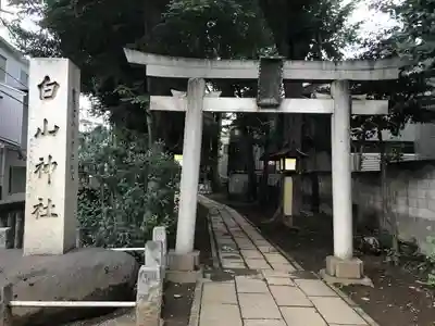 荻窪白山神社の鳥居