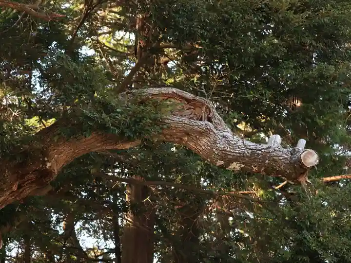 目の霊山 油山寺(静岡県)