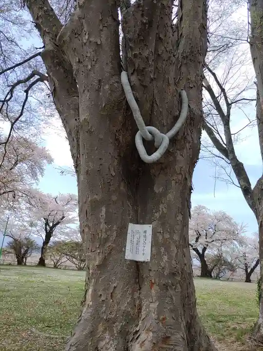 愛宕神社(岩手県)