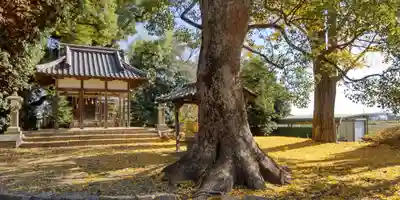 若宮八幡宮(京都府)