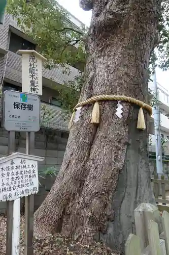 阿倍王子神社の自然