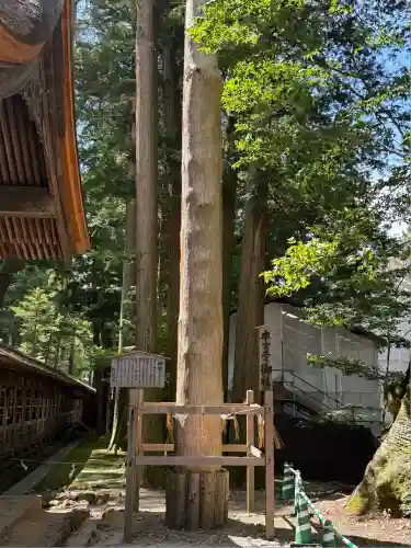 諏訪大社(長野県)