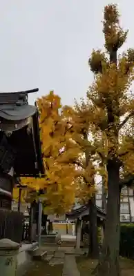 飛木稲荷神社(東京都)
