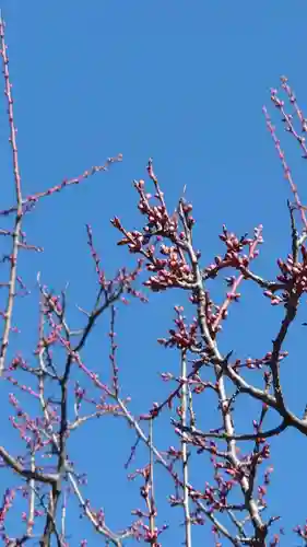 相馬神社(北海道)