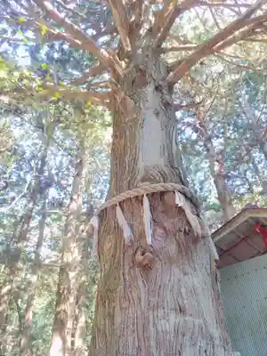 竹駒神社(岩手県)