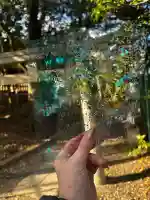 大鳥大社(大阪府)