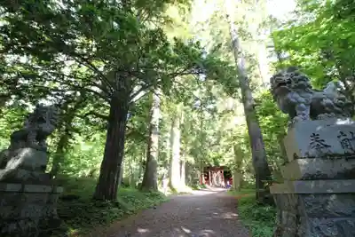 戸隠神社奥社の狛犬