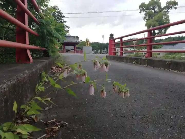 長福寿寺の自然