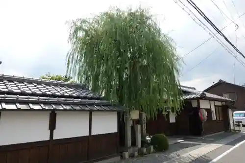 義仲寺の山門