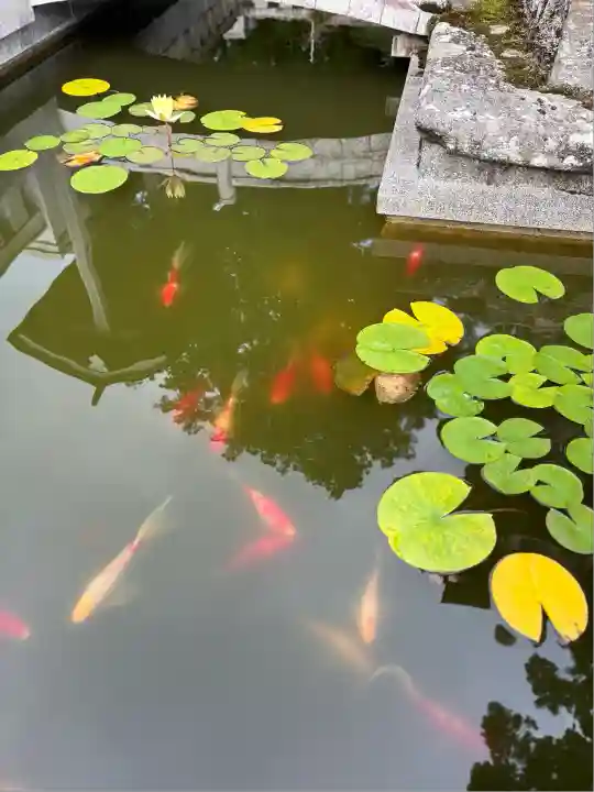 焼山寺(徳島県)