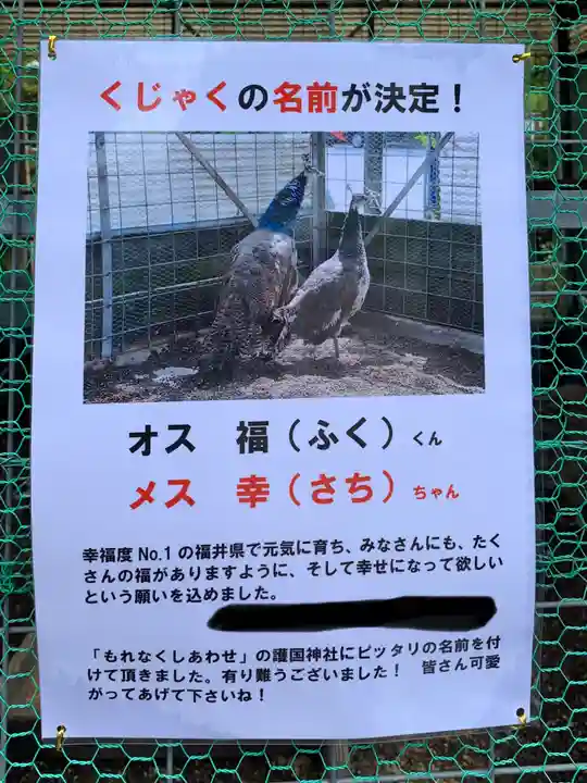 福井県護国神社(福井県)