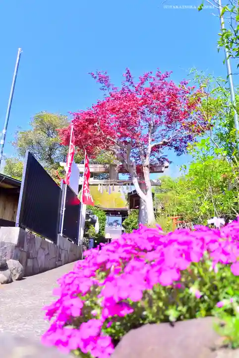 横浜御嶽神社(神奈川県)