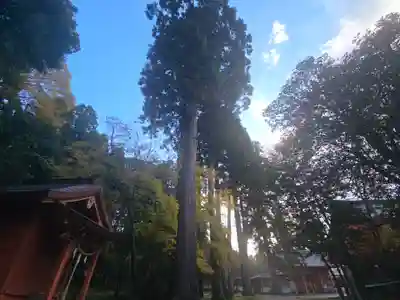 出石神社(兵庫県)