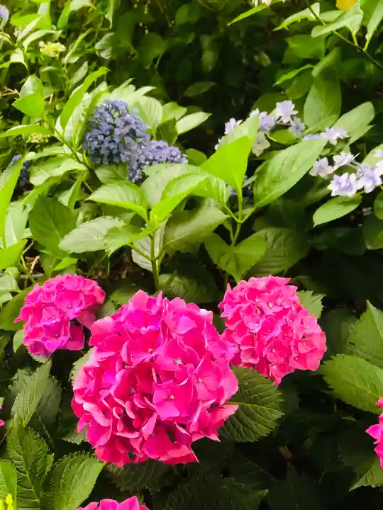 御裳神社の自然