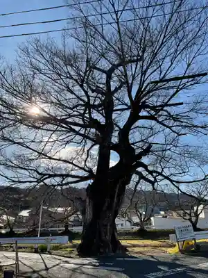 若宮八幡社(愛知県)