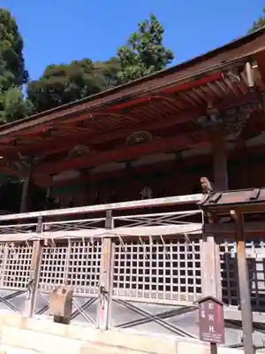 石清水八幡宮(京都府)