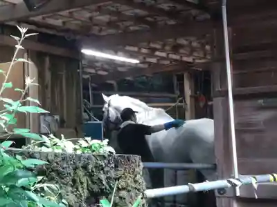 多度大社(三重県)