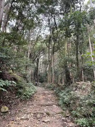 醍醐寺（上醍醐）(京都府)