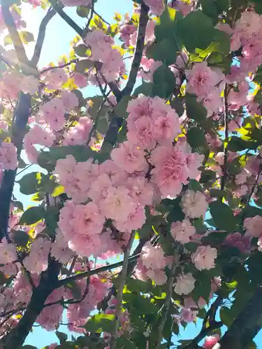 久富稲荷神社(東京都)