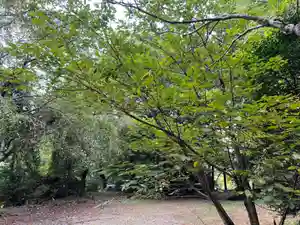 大宮温泉神社(栃木県)(2023年09月04日(月) 07時58分28秒投稿)