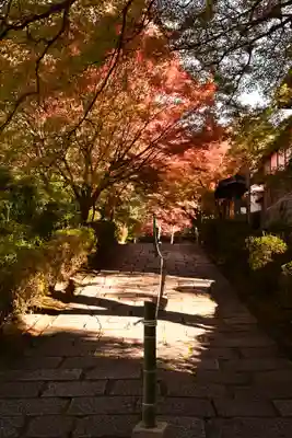 曼殊院門跡(京都府)