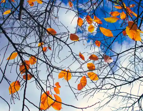 三津厳島神社(愛媛県)