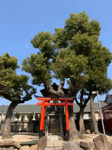 貴布禰神社の鳥居