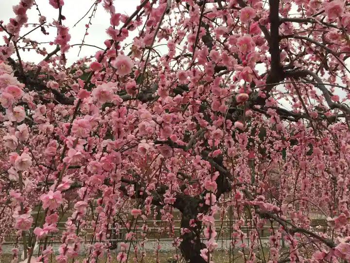 菅原神社(三重県)